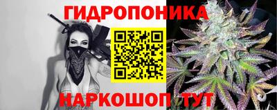jwh Аргун